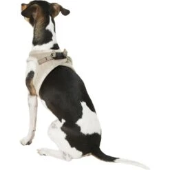 Best Pet Supplies Voyager Plush Suede Dog Harness 16 Best Pet Supplies Voyager Plush Suede Dog Harness -Blue Buffalo Shop 155926 PT5. AC SS1800 V1575475783