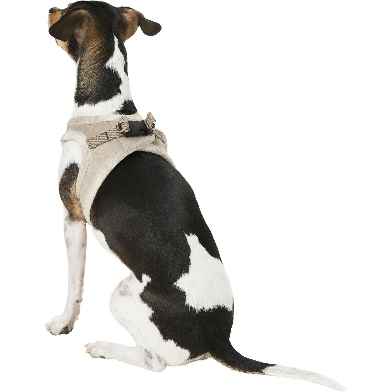 Best Pet Supplies Voyager Plush Suede Dog Harness 8 Best Pet Supplies Voyager Plush Suede Dog Harness - Image 6