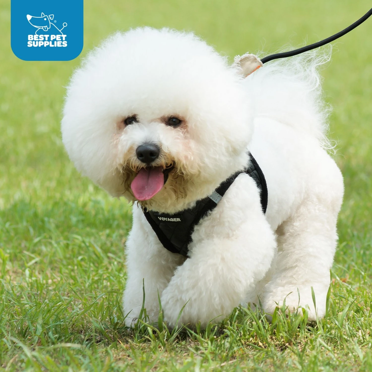 Best Pet Supplies Voyager Plush Suede Dog Harness 11 Best Pet Supplies Voyager Plush Suede Dog Harness - Image 9