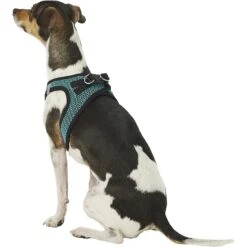 Best Pet Supplies Voyager All Season Mesh Dog Harness -Blue Buffalo Shop 155949 PT5. AC SS1800 V1575476064