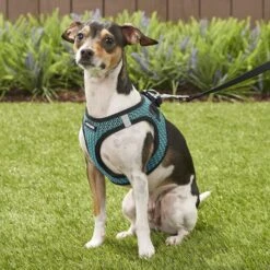 Best Pet Supplies Voyager All Season Mesh Dog Harness -Blue Buffalo Shop 155949 PT6. AC SS1800 V1575480815