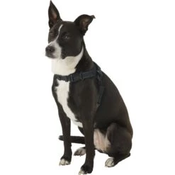 Copatchy No-Pull Reflective Adjustable Dog Harness -Blue Buffalo Shop 156689 PT2. AC SS1800 V1575408795