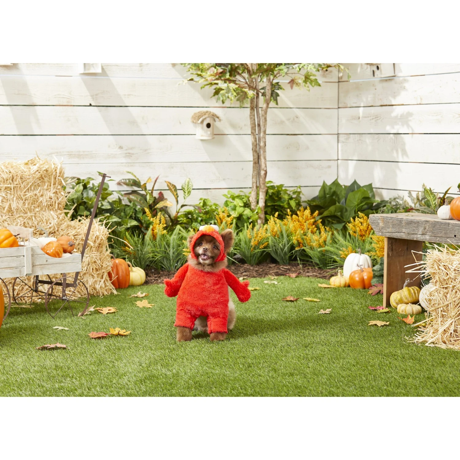 Pet Krewe Sesame Street Elmo Dog & Cat Costume 5 Pet Krewe Sesame Street Elmo Dog & Cat Costume - Image 3