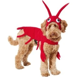 Frisco Red Lobster Dog & Cat Costume -Blue Buffalo Shop 158723 PT2. AC SS1800 V1659023725