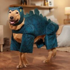 Frisco Stegosaurus Dinosaur Dog & Cat Costume 18 Frisco Stegosaurus Dinosaur Dog & Cat Costume -Blue Buffalo Shop 158777 PT7. AC SS1800 V1567180627