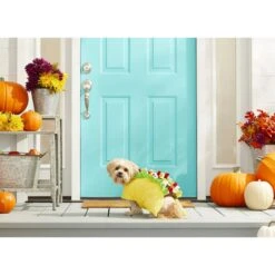 Frisco Taco Dog & Cat Costume 11 Frisco Taco Dog & Cat Costume -Blue Buffalo Shop 158826 PT3. AC SS1800 V1567175798