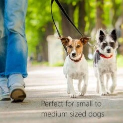 Pet Fit For Life Dual Dog Leash With Bowl 16 Pet Fit For Life Dual Dog Leash With Bowl -Blue Buffalo Shop 159024 PT5. AC SS1800 V1552502540