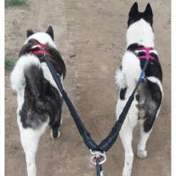 Pet Fit For Life Dual Dog Leash With Bowl 19 Pet Fit For Life Dual Dog Leash With Bowl -Blue Buffalo Shop 159024 PT8. AC SS1800 V1552502542