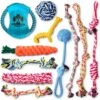 Pacific Pups Rescue Assorted Rope Dog Toys 2 Pacific Pups Rescue Assorted Rope Dog Toys -Blue Buffalo Shop 159359 MAIN. AC SS1800 V1701983279