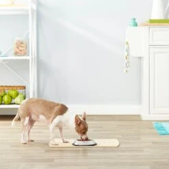 Frisco Non-Skid Stainless Steel Bowl -Blue Buffalo Shop 159860 PT3. AC SS1800 V1570543131