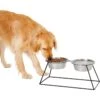 Frisco Pyramid Elevated Stainless Steel Double Diner Dog & Cat Bowl 1 Frisco Pyramid Elevated Stainless Steel Double Diner Dog & Cat Bowl -Blue Buffalo Shop 159884 MAIN. AC SS1800 V1583424776