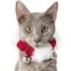 Frisco Jingle Bells Dog & Cat Holiday Collar With Bells, 1 Count -Blue Buffalo Shop 160063 MAIN. AC SS1800 V1663948848