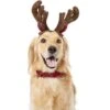 Frisco Holiday Antler Headband & Bell Collar Dog & Cat Costume 2 Frisco Holiday Antler Headband & Bell Collar Dog & Cat Costume -Blue Buffalo Shop 160658 Main. AC SS1800 V1568818034
