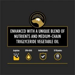 Purina Pro Plan Veterinary Diets Neurocare Dry Dog Food -Blue Buffalo Shop 160904 PT2. AC SS1800 V1700162266