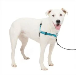 PetSafe Deluxe Easy Walk Nylon Reflective No Pull Dog Harness