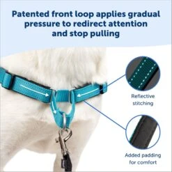 PetSafe Deluxe Easy Walk Nylon Reflective No Pull Dog Harness 12 PetSafe Deluxe Easy Walk Nylon Reflective No Pull Dog Harness -Blue Buffalo Shop 161211 PT2. AC SS1800 V1695836455