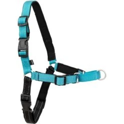 PetSafe Deluxe Easy Walk Nylon Reflective No Pull Dog Harness 16 PetSafe Deluxe Easy Walk Nylon Reflective No Pull Dog Harness -Blue Buffalo Shop 161211 PT6. AC SS1800 V1658439187