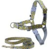 PetSafe Chic Easy Walk No Pull Dog Harness -Blue Buffalo Shop 161228 MAIN. AC SS1800 V1626449780