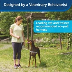 PetSafe Chic Easy Walk No Pull Dog Harness 11 PetSafe Chic Easy Walk No Pull Dog Harness -Blue Buffalo Shop 161228 PT3. AC SS1800 V1626450084