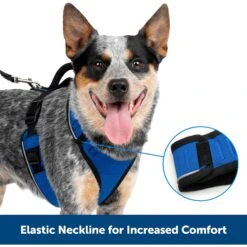 PetSafe EasySport Nylon Reflective Back Clip Dog Harness -Blue Buffalo Shop 161245 PT1. AC SS1800 V1649478087
