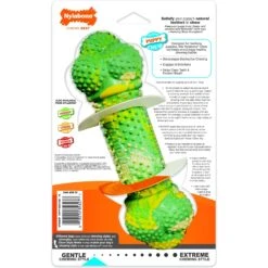 Nylabone Just For Puppies Double Action Bone Puppy Dog Teething Chew Toy, Banana & Peanut Butter -Blue Buffalo Shop 161303 PT8. AC SS1800 V1693419201