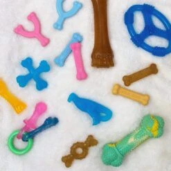 Nylabone Puppy Chew Variety Toy & Treat Triple Pack -Blue Buffalo Shop 161311 PT5. AC SS1800 V1688142362