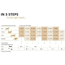 Flexi Classic Nylon Cord Retractable Dog Leash 12 Flexi Classic Nylon Cord Retractable Dog Leash -Blue Buffalo Shop 161899 PT3. AC SS1800 V1553543533