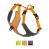 Chai's Choice Outdoor Explorer No-Pull 3M Polyester Reflective Dual Clip Dog Harness 2 Chai's Choice Outdoor Explorer No-Pull 3M Polyester Reflective Dual Clip Dog Harness -Blue Buffalo Shop 161988 MAIN. AC SS1800 V1576608179
