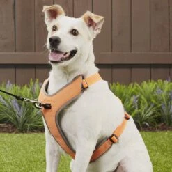 Chai's Choice Outdoor Explorer No-Pull 3M Polyester Reflective Dual Clip Dog Harness -Blue Buffalo Shop 161988 PT4. AC SS1800 V1575419705