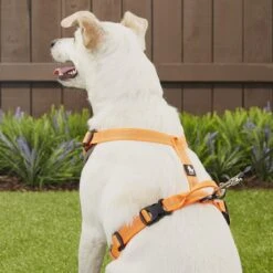 Chai's Choice Outdoor Explorer No-Pull 3M Polyester Reflective Dual Clip Dog Harness -Blue Buffalo Shop 161988 PT5. AC SS1800 V1575477865