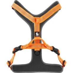 Chai's Choice Outdoor Explorer No-Pull 3M Polyester Reflective Dual Clip Dog Harness -Blue Buffalo Shop 161988 PT6. AC SS1800 V1575481720