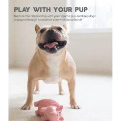 Outward Hound Accordionz Gator Stuffing-Free Squeaky Dog Toy -Blue Buffalo Shop 162058 PT4. AC SS1800 V1631680027