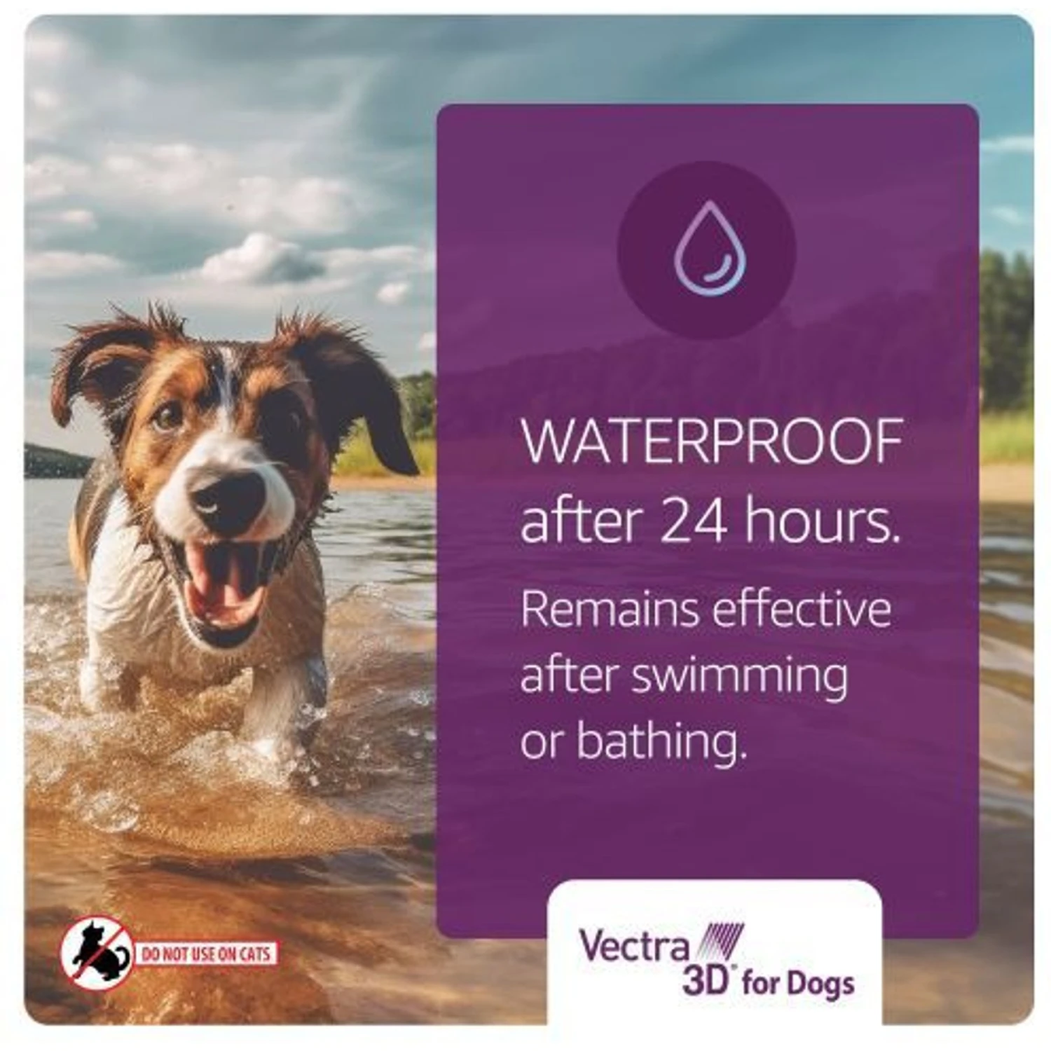 Vectra 3D Flea & Tick Spot Treatment For Dogs, 56-95 Lbs 11 Vectra 3D Flea & Tick Spot Treatment For Dogs, 56-95 Lbs - Image 9