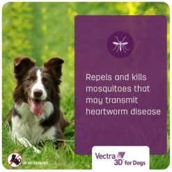 Vectra 3D Flea & Tick Spot Treatment For Dogs, 5-10 Lbs -Blue Buffalo Shop 162731 PT6. AC SS1800 V1689886341
