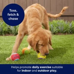 Frisco Birthday Fetch Squeaky Tennis Ball Dog Toy -Blue Buffalo Shop 162914 PT5. AC SS1800 V1692020098