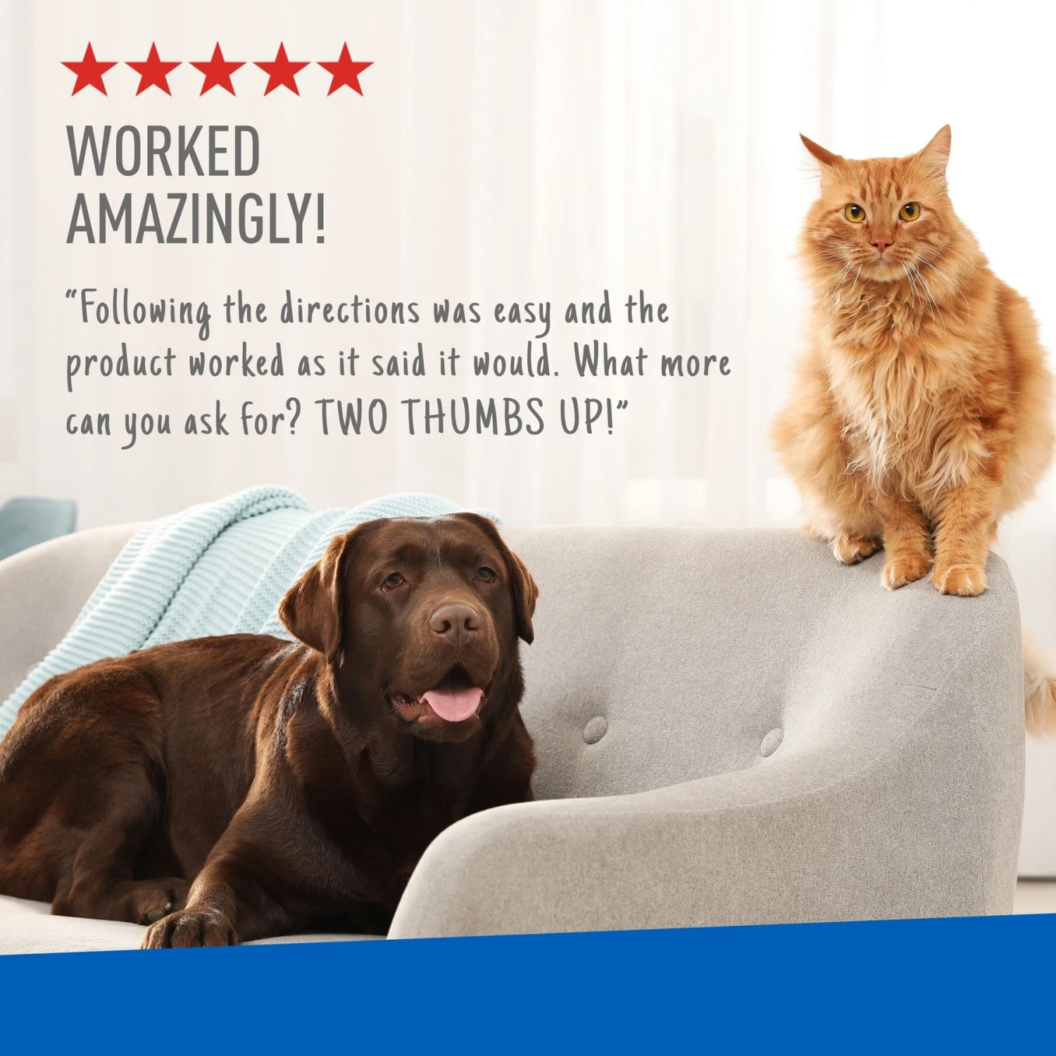 Adams® Adams Plus Flea Control Indoor Fogger 8 Adams® Adams Plus Flea Control Indoor Fogger - Image 6