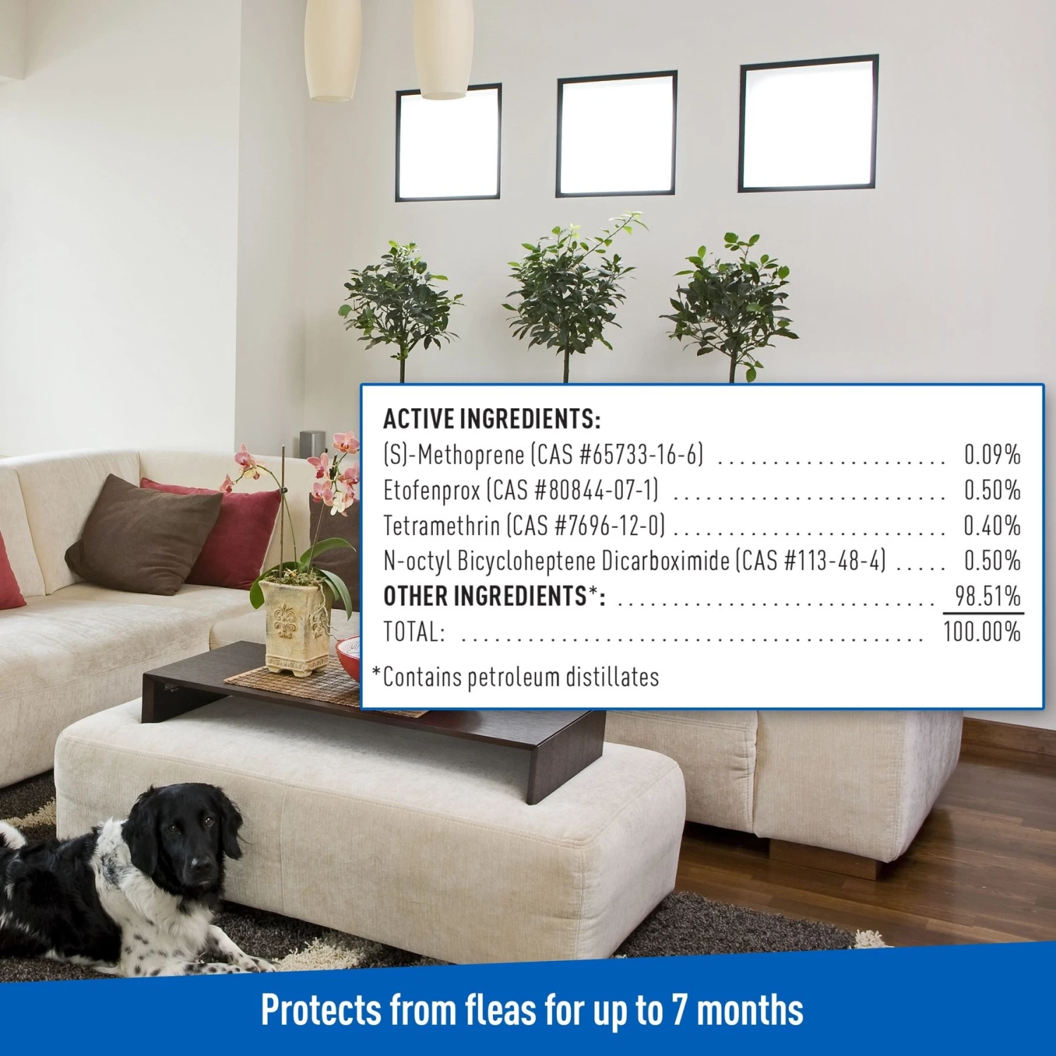 Adams® Adams Plus Flea Control Indoor Fogger 10 Adams® Adams Plus Flea Control Indoor Fogger - Image 8