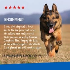 Adams® Adams Plus Flea & Tick Collar For Dogs & Puppies -Blue Buffalo Shop 165030 PT6. AC SS1800 V1679082246