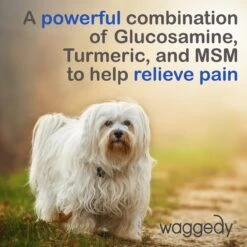 Waggedy Anti-Inflammatory Hip & Joint Soft Chews Supplement For Dogs, 90 Count 16 Waggedy Anti-Inflammatory Hip & Joint Soft Chews Supplement For Dogs, 90 Count -Blue Buffalo Shop 165434 PT5. AC SS1800 V1555345929