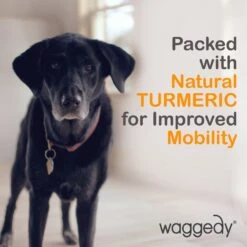 Waggedy Anti-Inflammatory Hip & Joint Soft Chews Supplement For Dogs, 90 Count 19 Waggedy Anti-Inflammatory Hip & Joint Soft Chews Supplement For Dogs, 90 Count -Blue Buffalo Shop 165434 PT8. AC SS1800 V1555345944