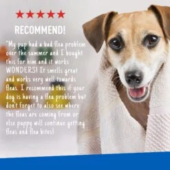 Adams® Adams Plus Flea & Tick Shampoo With Precor -Blue Buffalo Shop 165927 PT7. AC SS1800 V1675702665