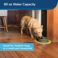 PetSafe Current Circulating Pet Fountain 13 PetSafe Current Circulating Pet Fountain -Blue Buffalo Shop 166258 PT6. AC SS1800 V1598894175