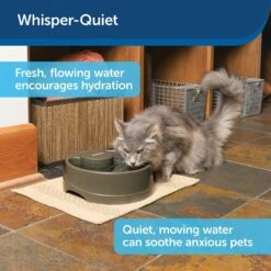 PetSafe Current Circulating Pet Fountain 15 PetSafe Current Circulating Pet Fountain -Blue Buffalo Shop 166258 PT8. AC SS1800 V1598895075