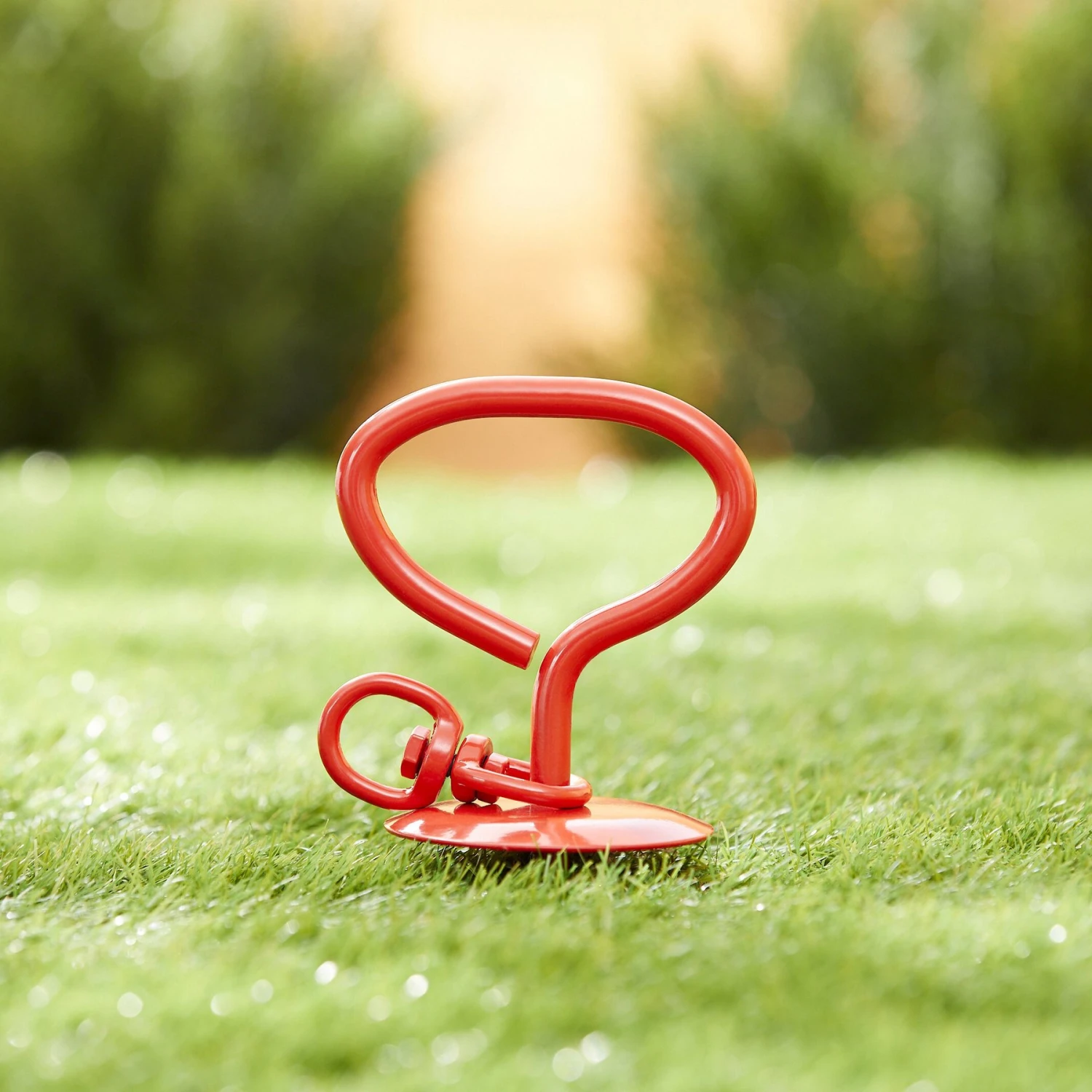 Frisco Dome Stake 4 Frisco Dome Stake - Image 2