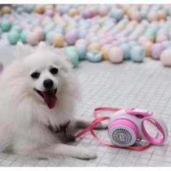 DOGNESS Smart Retractable Dog Leash Kit -Blue Buffalo Shop 166559 PT7. AC SS1800 V1557770893