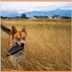 Monster K9 Dog Toys Indestructible Flying Disc Dog Toy -Blue Buffalo Shop 173928 PT5. AC SS1800 V1672947912