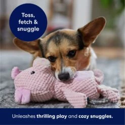 Frisco Pig Textured Plush Squeaky Dog Toy -Blue Buffalo Shop 174695 PT4. AC SS1800 V1695670689