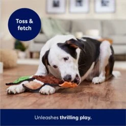 Frisco Mallard Stuffing-Free Flat Plush Squeaky Dog Toy 12 Frisco Mallard Stuffing-Free Flat Plush Squeaky Dog Toy -Blue Buffalo Shop 174731 PT5. AC SS1800 V1686579082