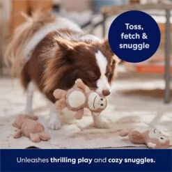 Frisco Monkeys In Tree Hide & Seek Puzzle Plush Squeaky Dog Toy Refills 10 Frisco Monkeys In Tree Hide & Seek Puzzle Plush Squeaky Dog Toy Refills -Blue Buffalo Shop 174768 PT5. AC SS1800 V1691784249