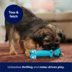 Frisco Latex Squeaky Puppy Toy 12 Frisco Latex Squeaky Puppy Toy -Blue Buffalo Shop 174775 PT5. AC SS1800 V1691784247